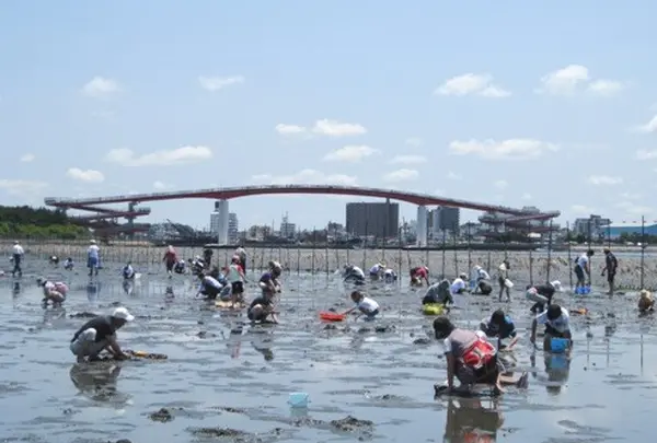 木更津海岸