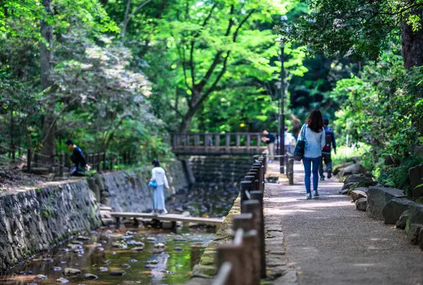等々力渓谷公園の写真・動画_image_757091