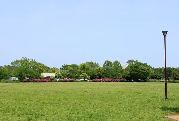 平和の森公園の写真・動画_image_757093