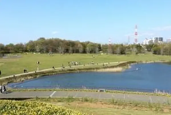 県立北総花の丘公園