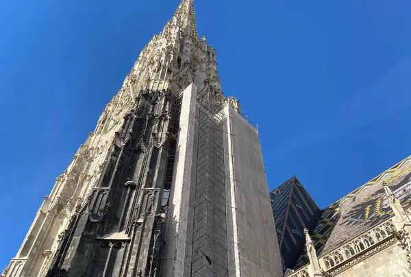 シュテファン大聖堂（Stephansdom）の写真・動画_image_757404