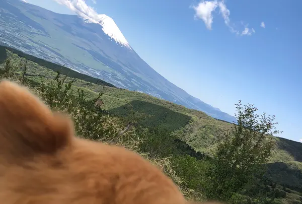 芦ノ湖スカイライン