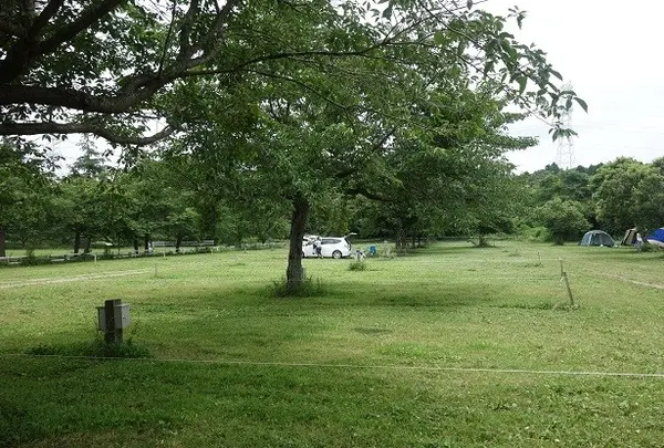 成田ゆめ牧場