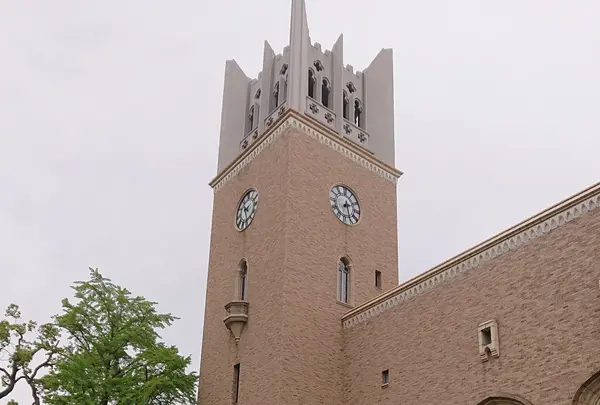 早稲田大学