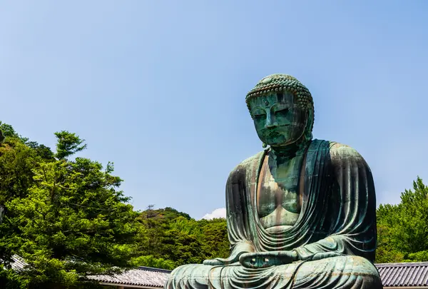 鎌倉大仏（高徳院）の写真・動画_image_760877