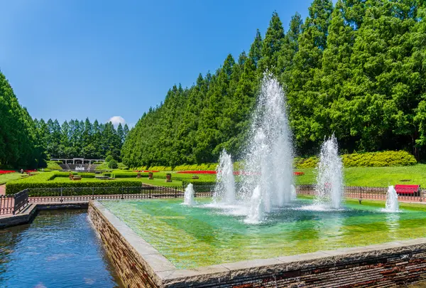 県立相模原公園の写真・動画_image_760891