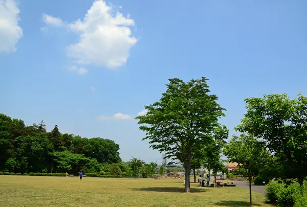 玄海田公園の写真・動画_image_760897