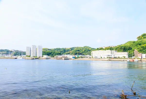 陸軍桟橋の写真・動画_image_760916