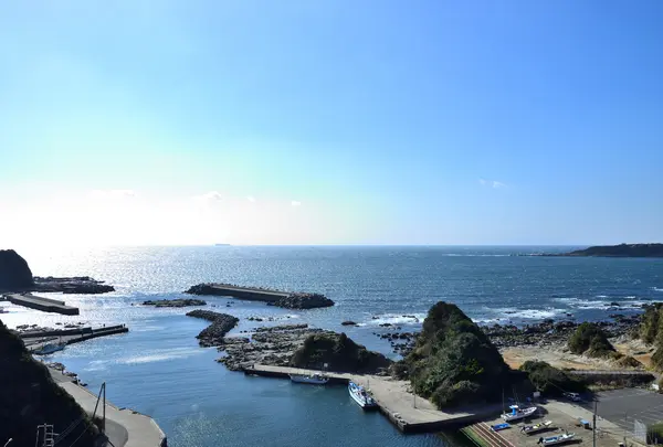 宮川港の写真・動画_image_760929
