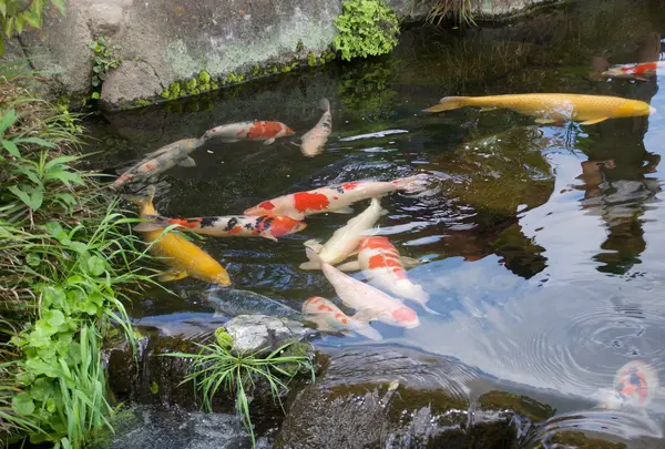 県営さいたま水族館の写真・動画_image_761030