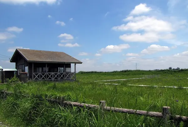 成東・東金食虫植物群落
