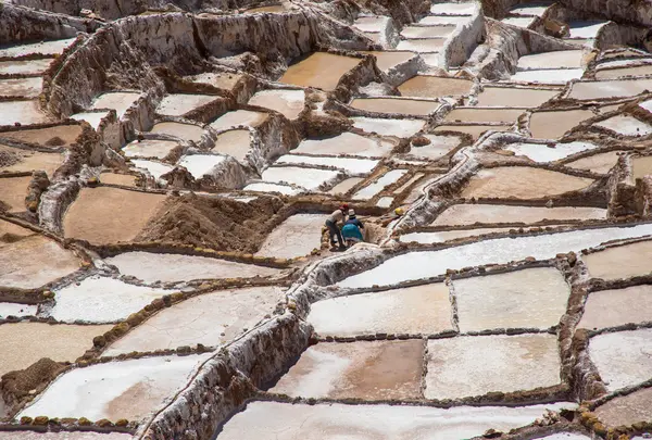 マラスの塩田（Salineras de Maras）の写真・動画_image_762513