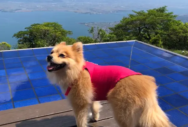 びわ湖テラス