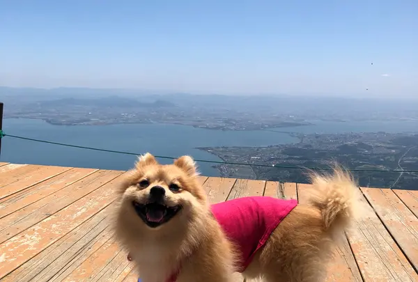 びわ湖バレイ