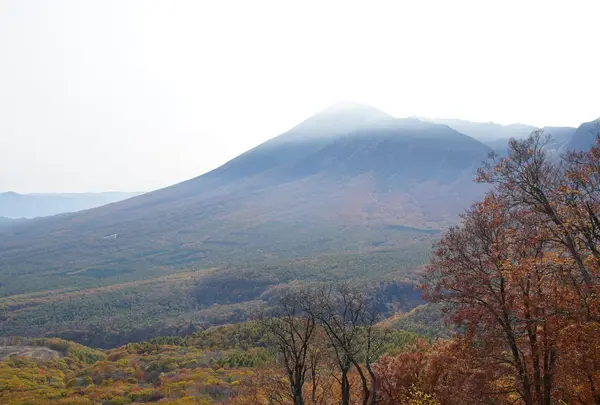 八幡平樹海ライン