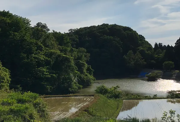 石川県森林公園 三国山キャンプ場の写真・動画_image_764556