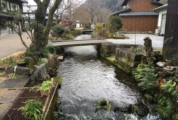 醒井（さめがい）