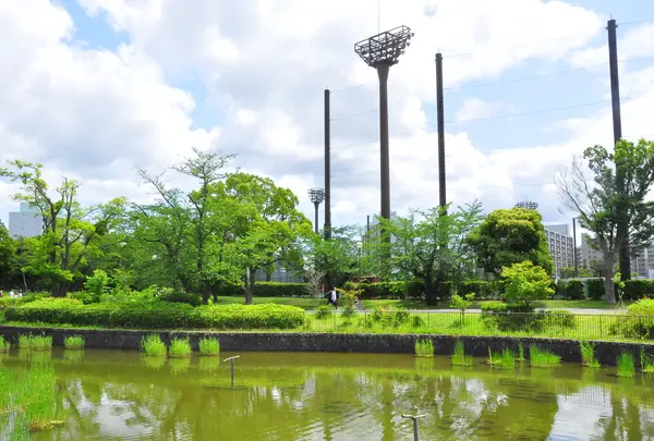 俣野公園の写真・動画_image_766748