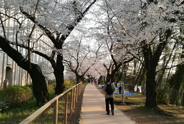 千代田区立五番町児童遊園