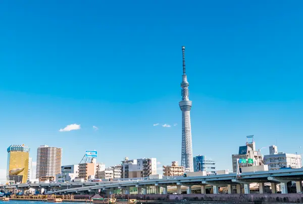 東京スカイツリーの写真・動画_image_767019