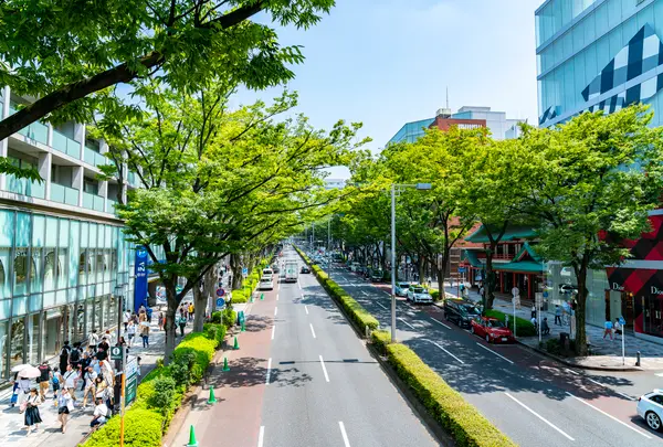 表参道の写真・動画_image_767033