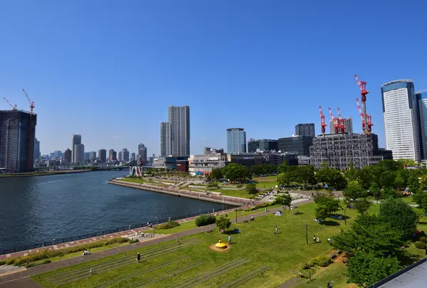 豊洲公園の写真・動画_image_767530