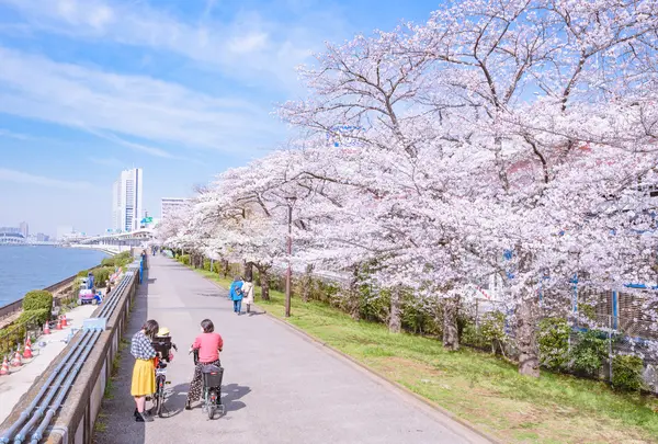 隅田公園の写真・動画_image_767563