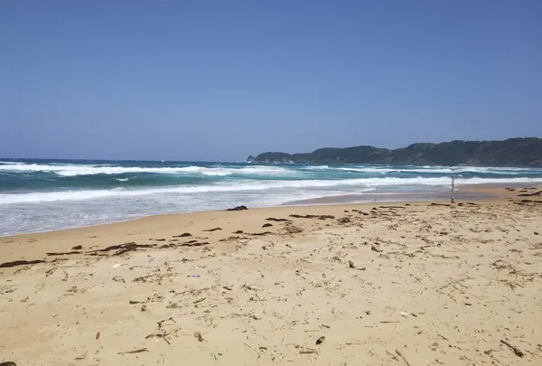 琴ケ浜海水浴場