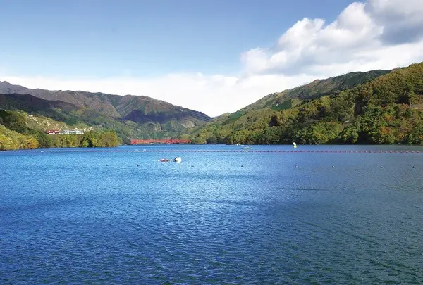 草木湖