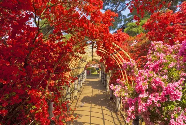 県立つつじが岡公園
