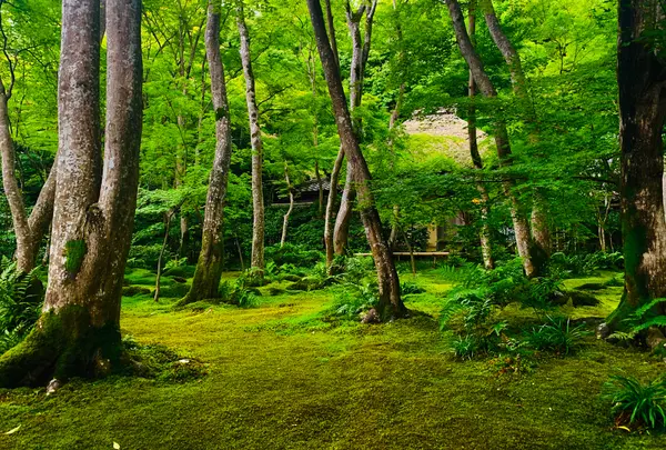 祇王寺