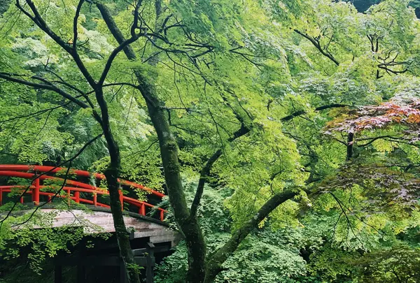 河鹿橋
