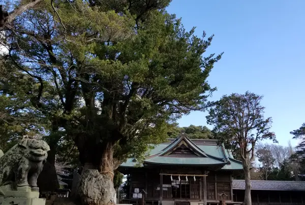 鶴谷八幡宮 安房神社遙拝殿