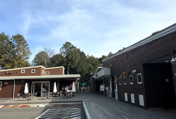 道の駅 大芝高原