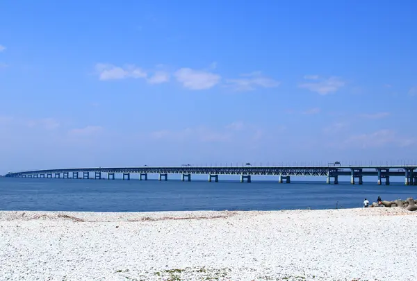 泉南マーブルビーチの写真・動画_image_774219