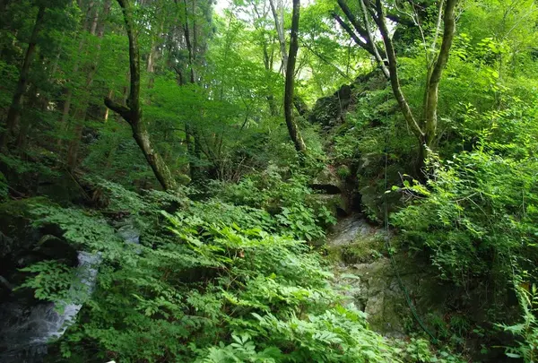 根本山