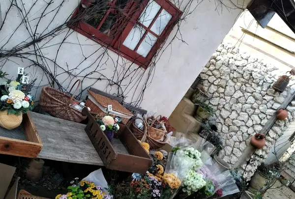 小さなお花屋 ののこや