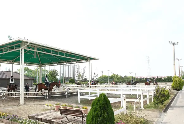 乗馬クラブ クレイン東海