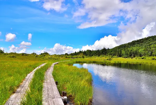 鬼怒沼の写真・動画_image_776255
