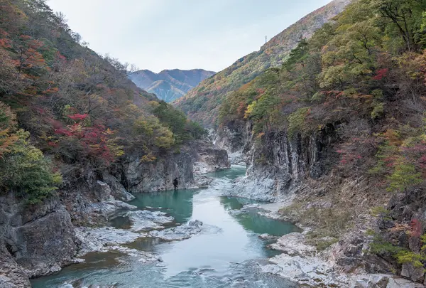 虹見の滝の写真・動画_image_776257