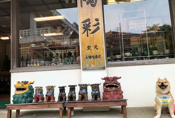 やむちん通り