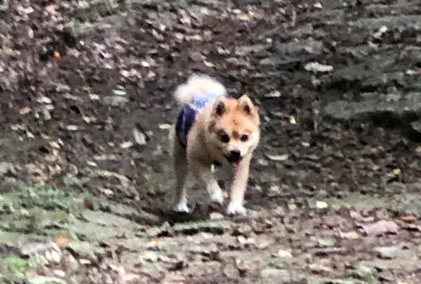 末吉公園