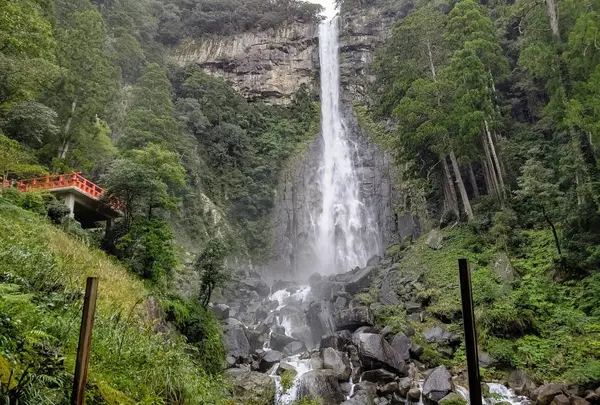 那智の滝