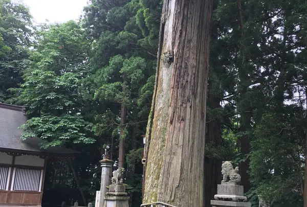 戸隠神社中社