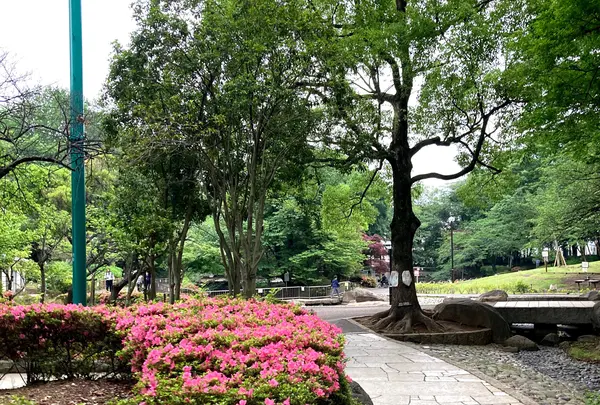 蚕糸の森公園