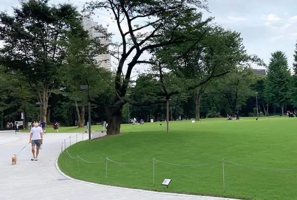 新宿中央公園の写真・動画_image_780819