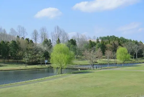 科学万博記念公園