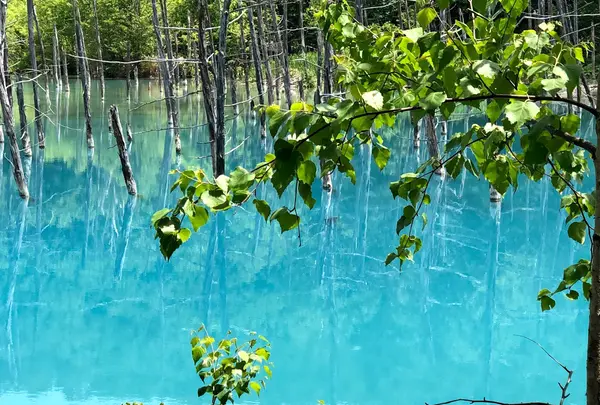 青い池