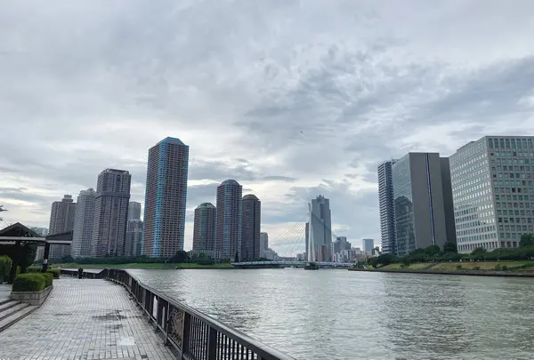 隅田川の写真・動画_image_781632