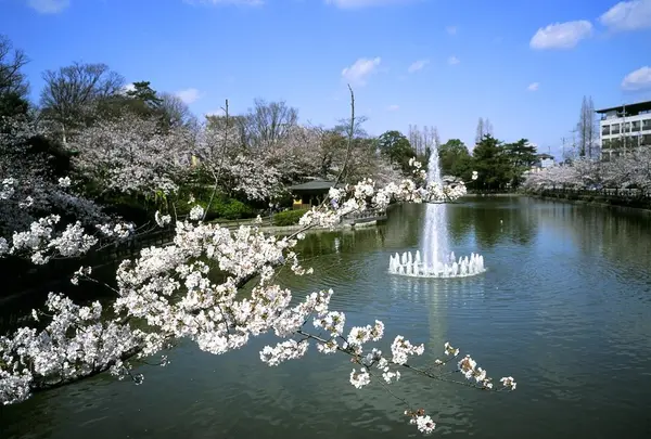亀城公園